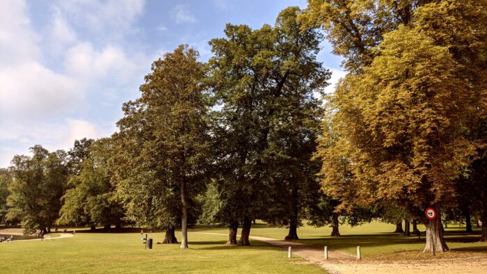 📷️ : Lunchtime walk through Bois de la Cambre