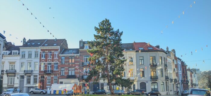 Rue Guillaume Stocq