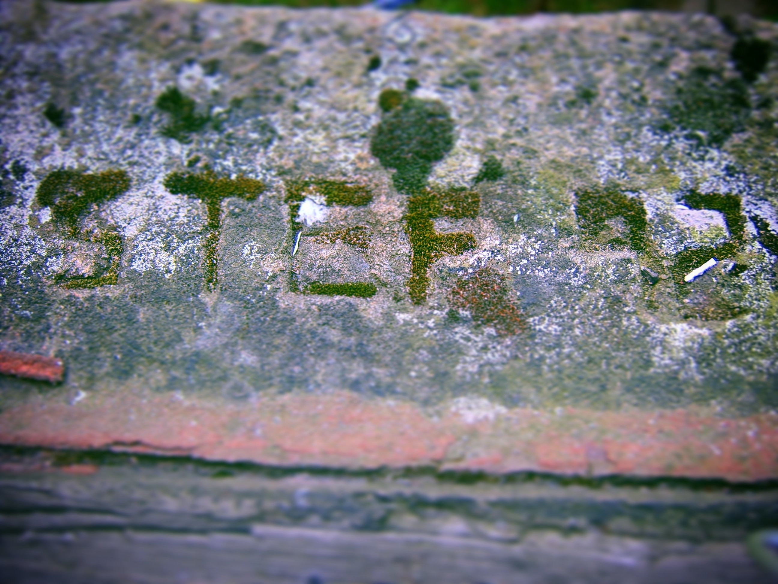 The words "Stef 92" engraved into the window ledge of a tennement flat